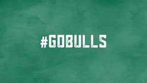 Video post by @bullsvision on YouTube