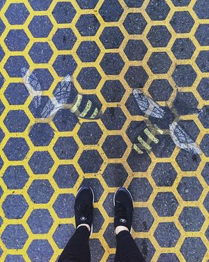 Image post by @sophieb on Instagram