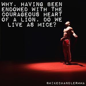 Image post by @mikechandlermma on Instagram
