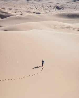 Image post by @unsplash on Instagram
