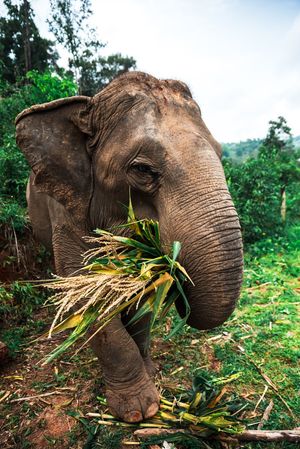 Image post by @AnimalPlanet on Twitter/X