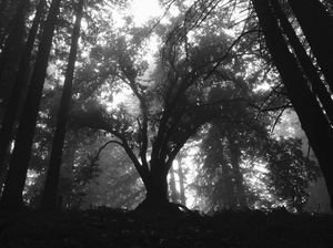 Image post by @ucsc on Instagram