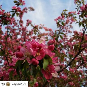 Image post by @fargoparks on Instagram