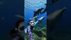 Video post by @gopro on YouTube