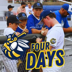 Image post by @burlington_bees on Instagram
