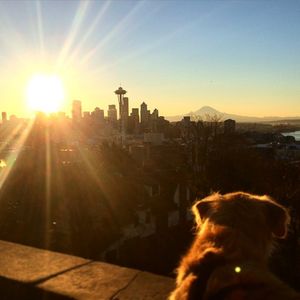 Image post by @amandakl on Instagram
