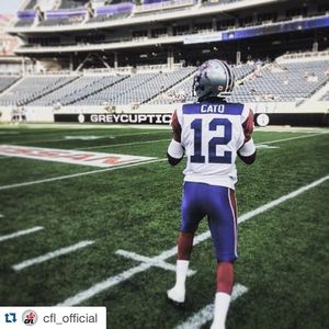 Image post by @mtlalouettes on Instagram