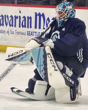 Image post by @goaliegearnerd on Instagram