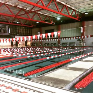 Image post by @carthage_swimanddive on Instagram