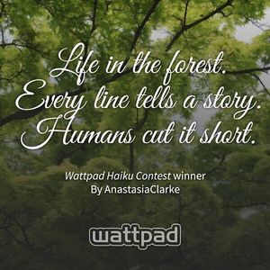 Image post by @wattpad on Instagram