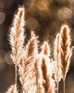 Image post by @JustinPotterPhotography on Facebook