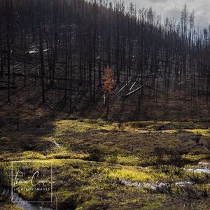 Image post by @lightboximages on Instagram