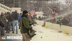 Video post by @msnbc on YouTube