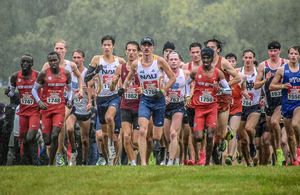 Image post by @dyestat on Instagram