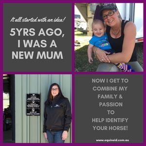 Image post by @equineidsolutions on Instagram
