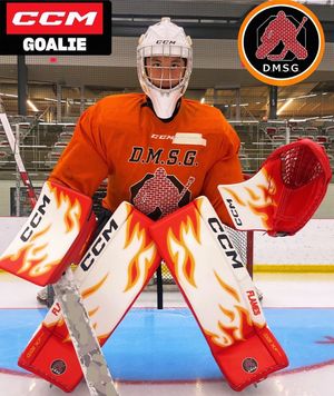 Image post by @goaliegearnerd on Instagram