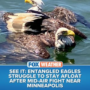 Image post by @foxweather on Instagram