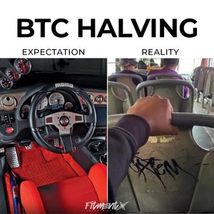 Image post by @fitmentindustries on Instagram