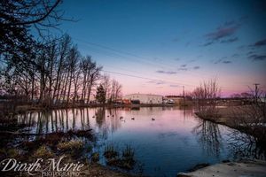 Image post by @dinahmariephotography on Instagram