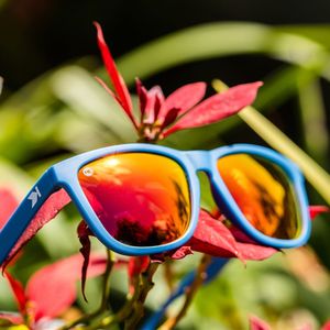 Image post by @knockaround on Instagram