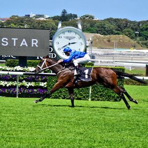 Image post by @australianturfclub on Instagram