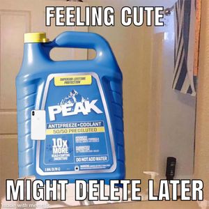 Image post by @peakauto on Instagram
