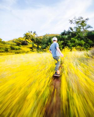 Image post by @onewheel on Instagram