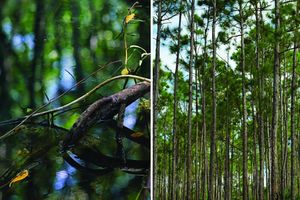 Image post by @deeringestate on Instagram