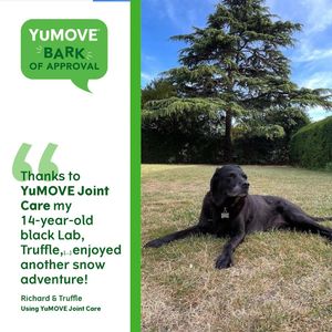 Image post by @yumove_usa on Instagram