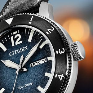 Image post by @citizenwatchus on Instagram