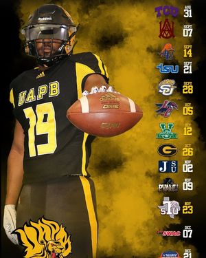 Image post by @uapblionsroar on Instagram