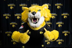 Image post by @houstonsabercats on Instagram