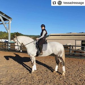 Image post by @performancesaddlefitssthsydney on Instagram
