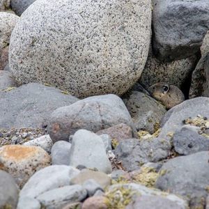Image post by @nationalparkservice on Instagram