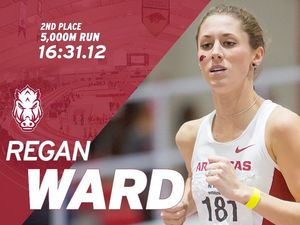 Image post by @razorbacktfxc on Instagram