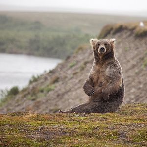 Image post by @discovery on Instagram