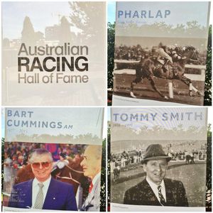 Image post by @australianturfclub on Instagram