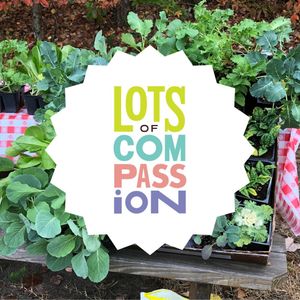 Image post by @kidsgardening on Instagram