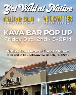 Image post by @nativesunjax on Instagram