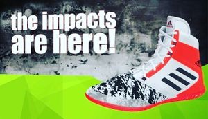 Image post by @adidaswrestling on Instagram
