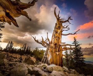 Image post by @nationalparkservice on Instagram
