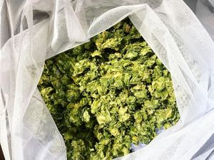 Image post by @sudwerkbrew on Instagram