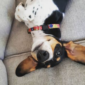 Image post by @hollysmee on Instagram