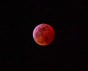 Image post by @ethanl13n on Instagram