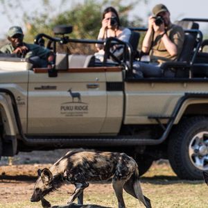 Image post by @chiawasafaris on Instagram