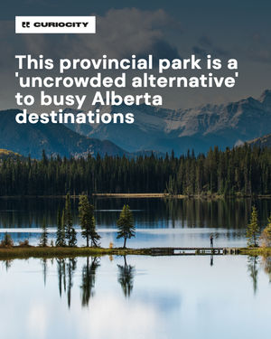 Image post by @curiocitycalgary on Instagram