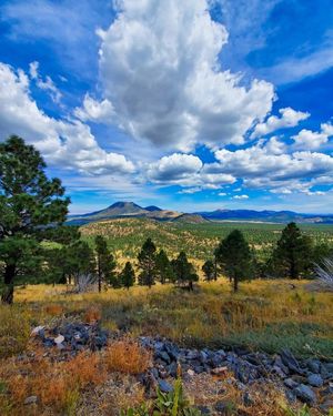 Image post by @nauflagstaff on Instagram
