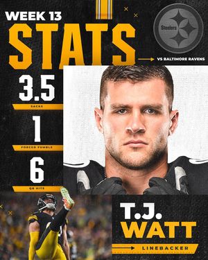 Image post by @steelers on Instagram
