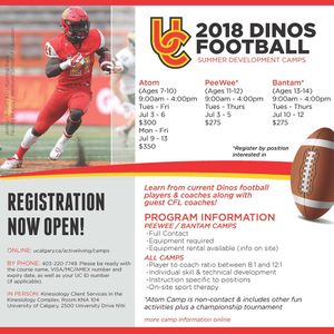 Image post by @dinos_football on Instagram