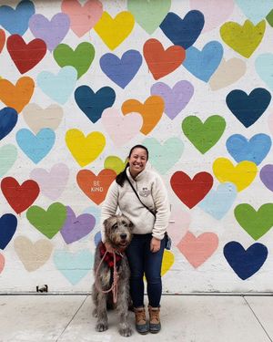 Image post by @thesavannahwolfhound on Instagram
